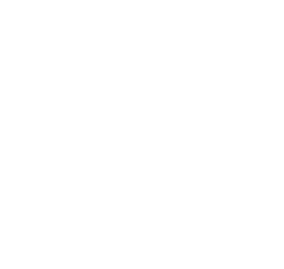 SYR HOMEX